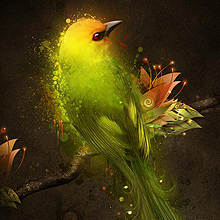 CC在线压力测试